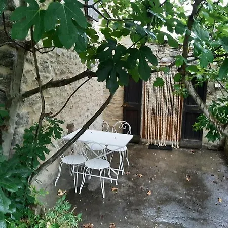 Les Magnans Holiday home *